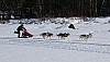 2017_3Y0A2195.jpg 2017_3Y0A2195.jpg