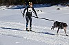 2017_3Y0A2200.jpg 2017_3Y0A2200.jpg