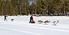 2017_3Y0A2226.jpg 2017_3Y0A2226.jpg