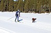 2017_3Y0A2239.jpg 2017_3Y0A2239.jpg