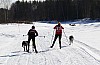 2017_3Y0A2249.jpg 2017_3Y0A2249.jpg
