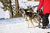 2017_3Y0A2255.jpg 2017_3Y0A2255.jpg
