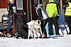 2017_3Y0A2270.jpg 2017_3Y0A2270.jpg