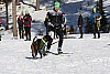 2017_3Y0A2287.jpg 2017_3Y0A2287.jpg