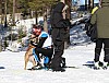 2017_3Y0A2295.jpg 2017_3Y0A2295.jpg