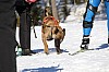 2017_3Y0A2300.jpg 2017_3Y0A2300.jpg