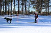 2017_3Y0A2302.jpg 2017_3Y0A2302.jpg