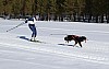 2017_3Y0A2310.jpg 2017_3Y0A2310.jpg