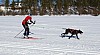 2017_3Y0A2354.jpg 2017_3Y0A2354.jpg