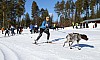 2017_3Y0A2381.jpg 2017_3Y0A2381.jpg