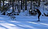 2017_3Y0A2425.jpg 2017_3Y0A2425.jpg