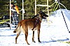 2017_3Y0A2431.jpg 2017_3Y0A2431.jpg