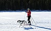 2017_3Y0A2446.jpg 2017_3Y0A2446.jpg