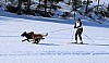 2017_3Y0A2449.jpg 2017_3Y0A2449.jpg