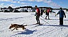 2017_3Y0A2458.jpg 2017_3Y0A2458.jpg
