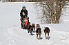2017_3Y0A2462.jpg 2017_3Y0A2462.jpg