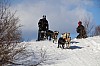 2017_3Y0A2467.jpg 2017_3Y0A2467.jpg