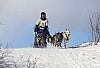 2017_3Y0A2473.jpg 2017_3Y0A2473.jpg