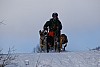 2017_3Y0A2475.jpg 2017_3Y0A2475.jpg