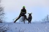 2017_3Y0A2491.jpg 2017_3Y0A2491.jpg