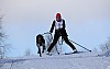 2017_3Y0A2493.jpg 2017_3Y0A2493.jpg