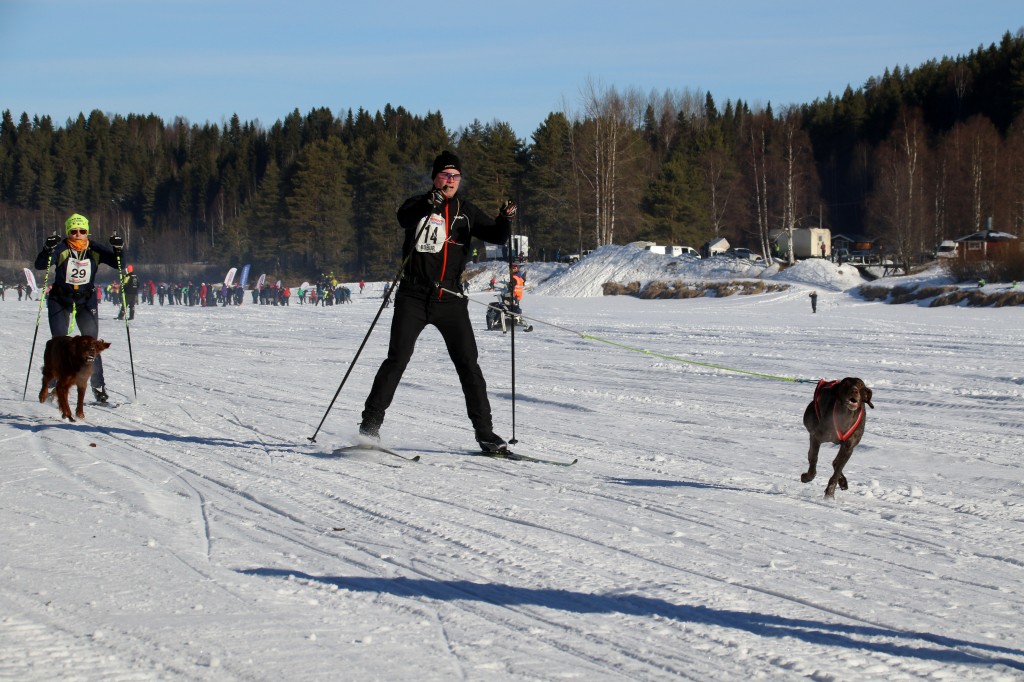 2017_3Y0A2627.jpg