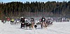 2017_3Y0A2613.jpg 2017_3Y0A2613.jpg