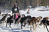 2017_3Y0A2616.jpg 2017_3Y0A2616.jpg