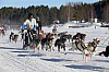2017_3Y0A2618.jpg 2017_3Y0A2618.jpg