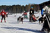 2017_3Y0A2619.jpg 2017_3Y0A2619.jpg