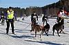 2017_3Y0A2623.jpg 2017_3Y0A2623.jpg