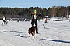 2017_3Y0A2628.jpg 2017_3Y0A2628.jpg
