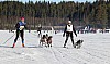 2017_3Y0A2629.jpg 2017_3Y0A2629.jpg