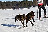 2017_3Y0A2634.jpg 2017_3Y0A2634.jpg