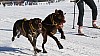 2017_3Y0A2634_L.jpg 2017_3Y0A2634_L.jpg