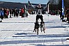 2017_3Y0A2654.jpg 2017_3Y0A2654.jpg