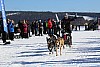 2017_3Y0A2658.jpg 2017_3Y0A2658.jpg
