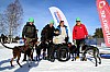 2017_3Y0A2666.jpg 2017_3Y0A2666.jpg