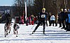 2017_3Y0A2677.jpg 2017_3Y0A2677.jpg