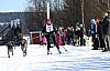 2017_3Y0A2684.jpg 2017_3Y0A2684.jpg