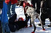 2017_3Y0A2689.jpg 2017_3Y0A2689.jpg