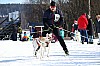 2017_3Y0A2715.jpg 2017_3Y0A2715.jpg