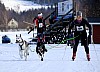 2017_3Y0A2762.jpg 2017_3Y0A2762.jpg