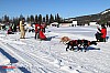 2018_Fredag-46.jpg 2018_Fredag-46.jpg