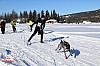2018_Fredag-61.jpg 2018_Fredag-61.jpg