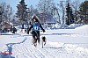 2018_Fredag-86.jpg 2018_Fredag-86.jpg