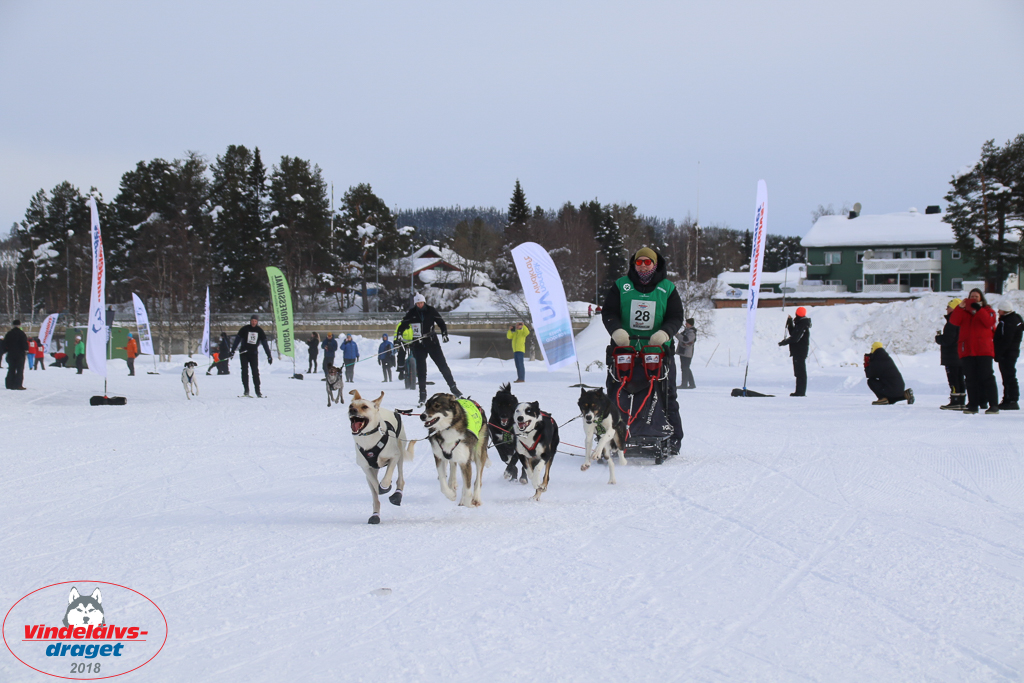2018_Lordag-25.jpg