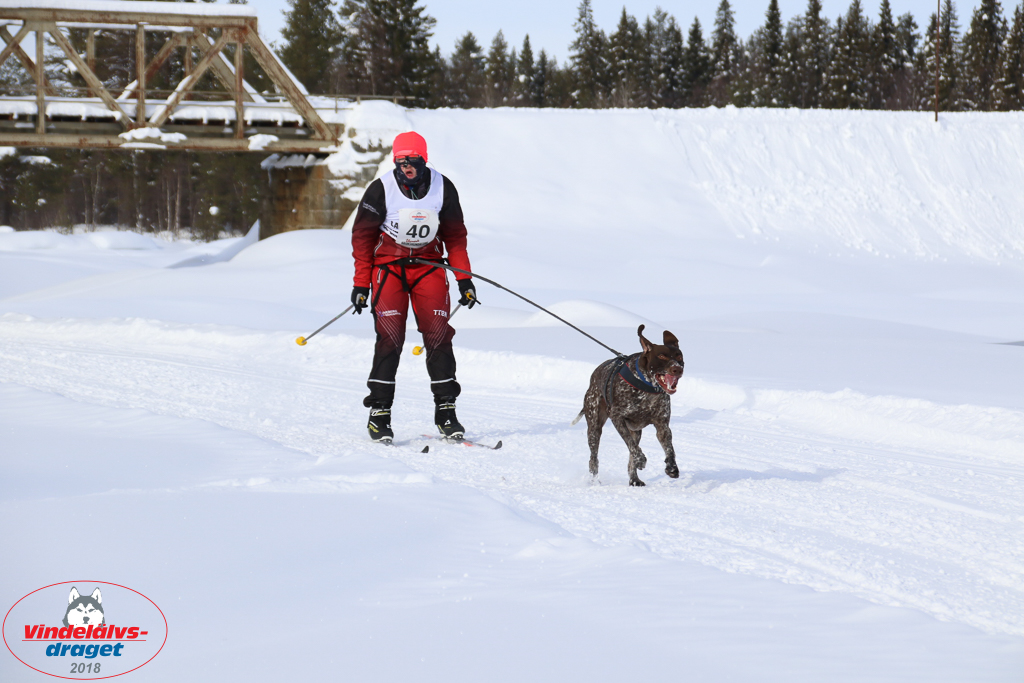 2018_Lordag-35.jpg