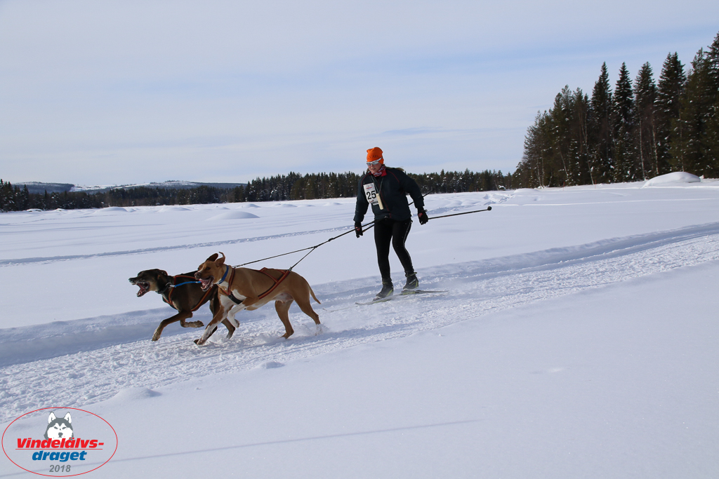 2018_Lordag-43.jpg