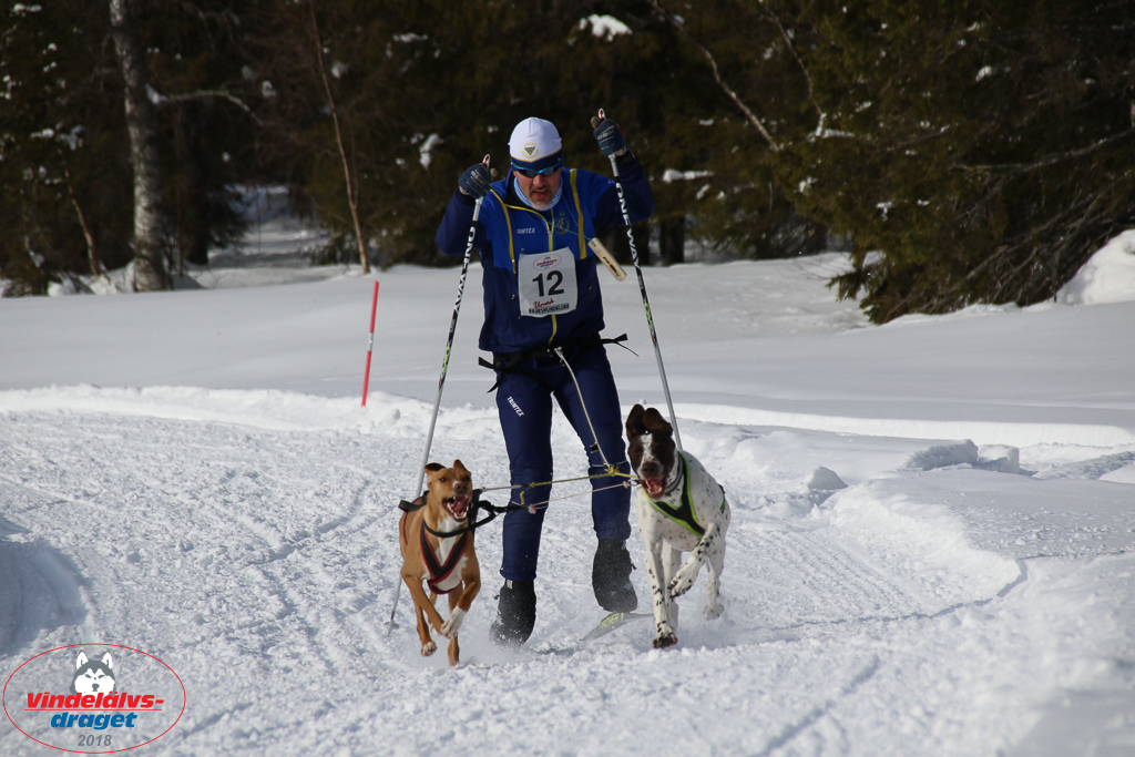 2018_Lordag-52.jpg